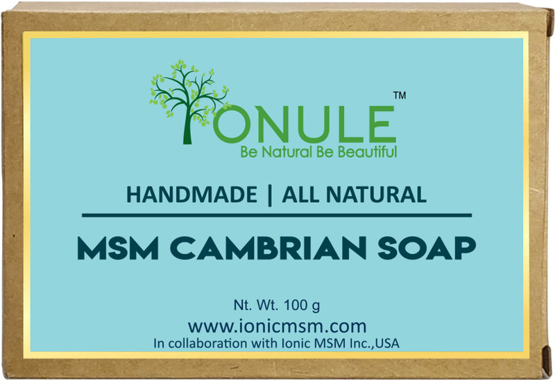 ionule MSM CAMBRIAN CLAY SOAP(100 g)