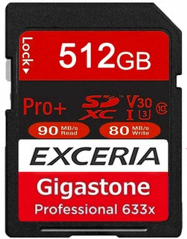 gigastone gig512 512 GB SD Card Class 10 80  Memory Card RS.5999 (73.00% Off) - Flipkart