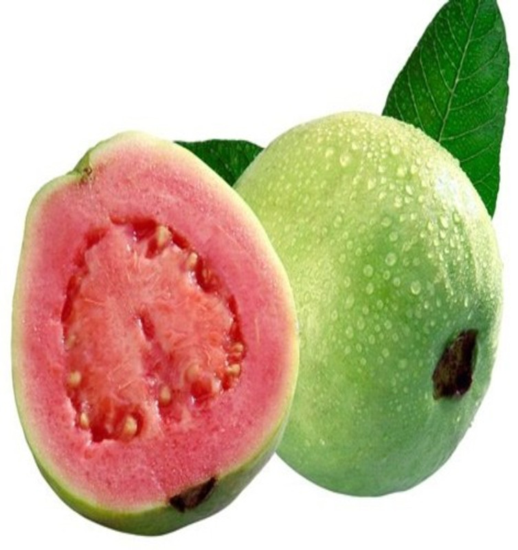 syed garden red lady papaya seed 10, honey dew papaya seed 50, red guava seed - 50, white guava seed 50, 4 pack seed Seed(100 per packet)