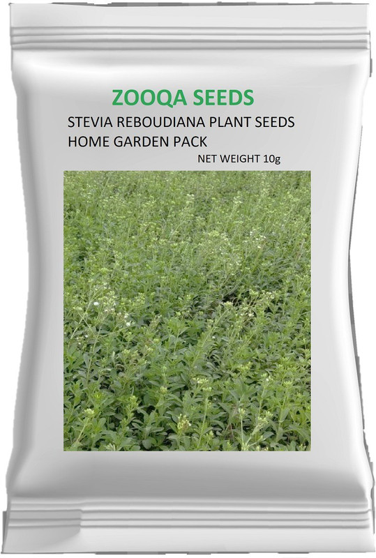 zooqa Stevia Rebaudiana, Pack Of 100+ Seeds, Natural Sweetener Plant High Germination Seed(150 per packet)