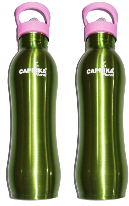 caprika Floral 600 ml Water Bottles(Set of 2, Green)