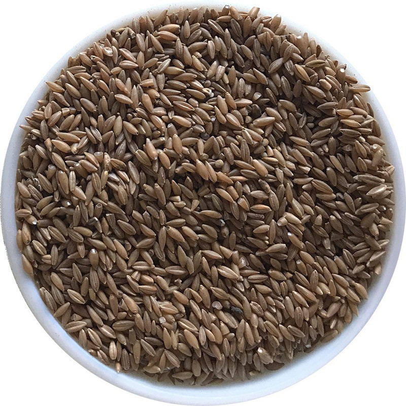 millet valley DIABETIC FRIENDLY Brown Bamboo Seed Rice (Medium Grain, Unpolished)(800 g)