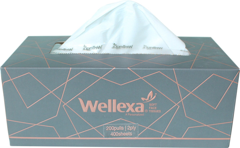 wellexa Soft Face Tissue 2PLY | 200 Pulls -Grey Box (Pack of 3)(Pack of 200)