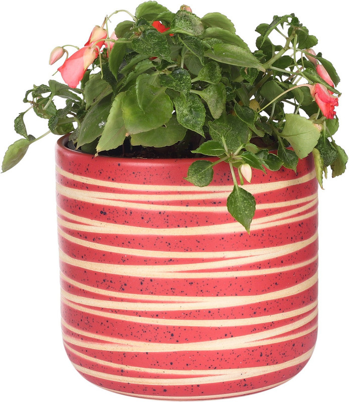 my green thumb Ceramic planter pot | Handmade clay/porcelain pottery| For Indoor, Outdoor, Windowsill, balcony home, garden and office decor| 6 inches (15cmX15cm) Pink color with beige stripes (Pack of 1) Plant Container(Ceramic, External Height - 15 cm)