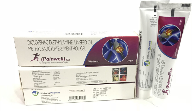wellona pharma PAINWELL(pack of 2)(30 g)