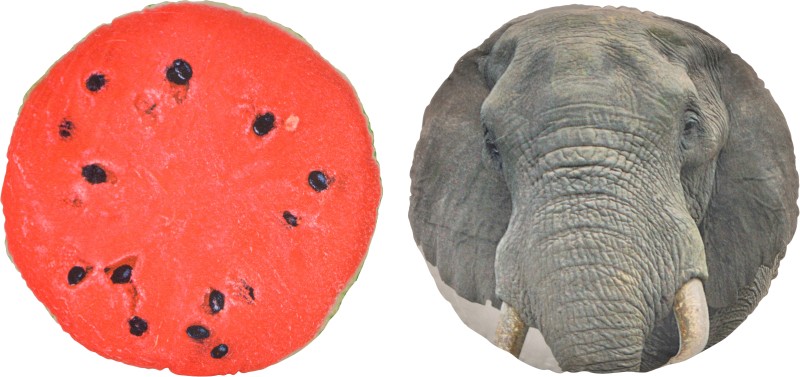 Deals India 3D Creative Plus Squishy Fruit pillow Back Cushion - watermelon (35 cm) and india Animal 3D print cushion - Elephant (35 cm ) set of 2  - 35 cm(Multicolor)
