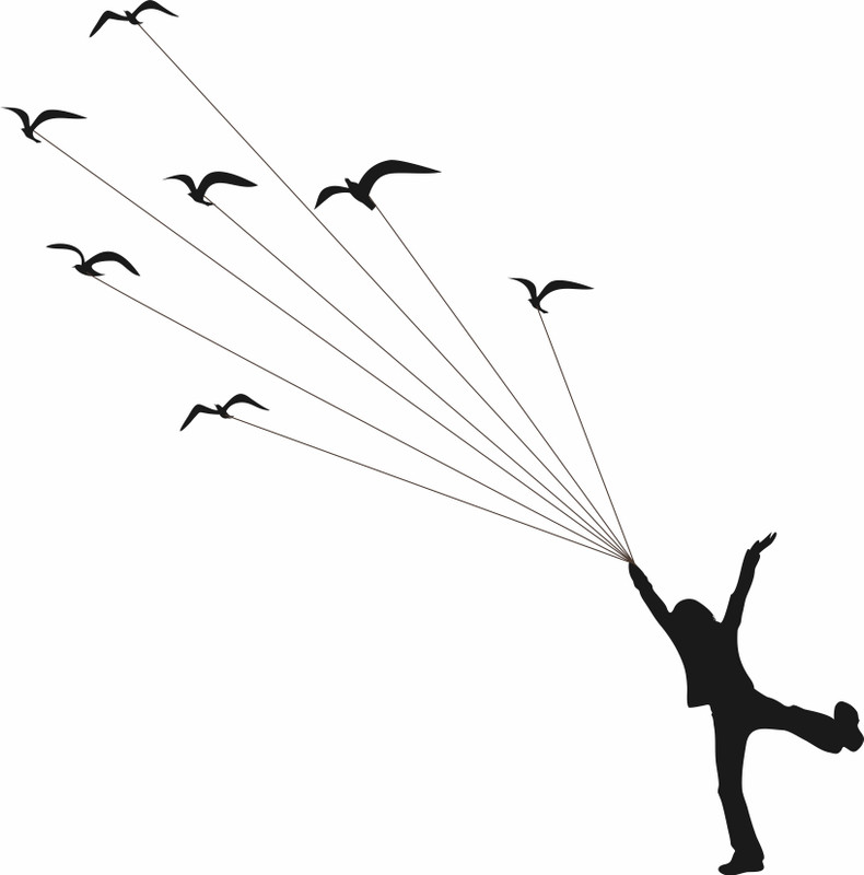 khirki Medium "Flying Birds" PVC Vinyl Wall  Sticker(Pack of 1)