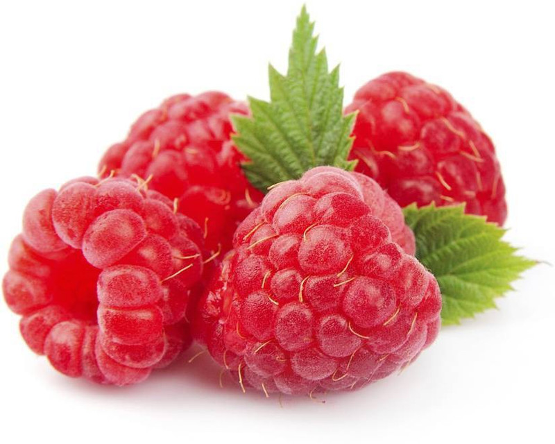 priyathams Importted Red Raspberry plant Seed(99 per packet)