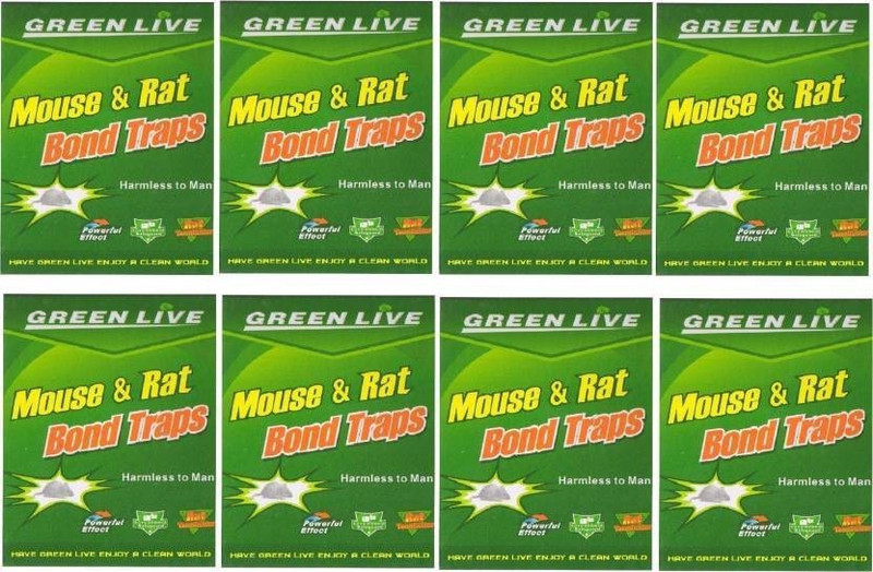 tashkurst Mouse / Rat Lizard Trap, Rat Catcher Adhesive Sticky Glue Pad- Non Poisonous - Non Toxic - Odourless - Rat Terminator-8 Pc Live Trap