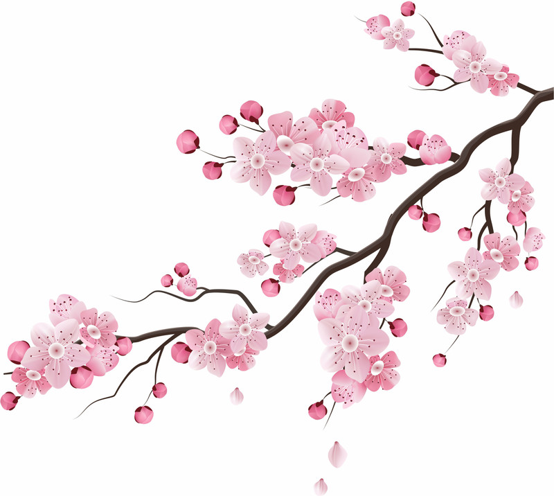 khirki Medium "Tree Branches " PVC Vinyl Wall  Sticker(Pack of 1)