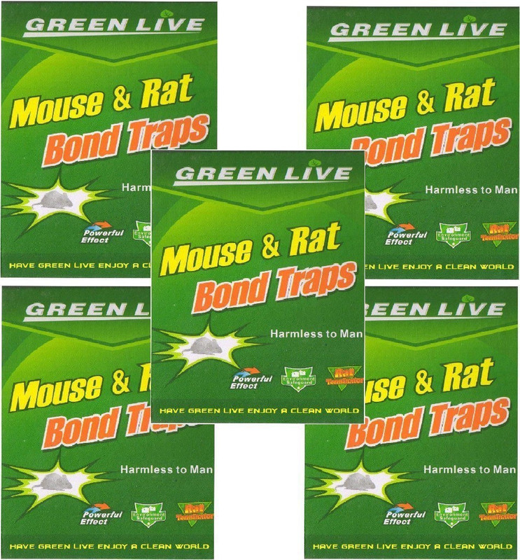 tashkurst Mouse / Rat Lizard Trap, Rat Catcher Adhesive Sticky Glue Pad- Non Poisonous - Non Toxic - Odourless - Rat Terminator-5Pc Live Trap