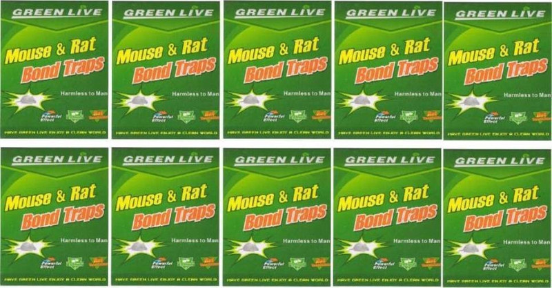 tashkurst Mouse / Rat Lizard Trap, Rat Catcher Adhesive Sticky Glue Pad- Non Poisonous - Non Toxic - Odourless - Rat Terminator-10 PC Live Trap