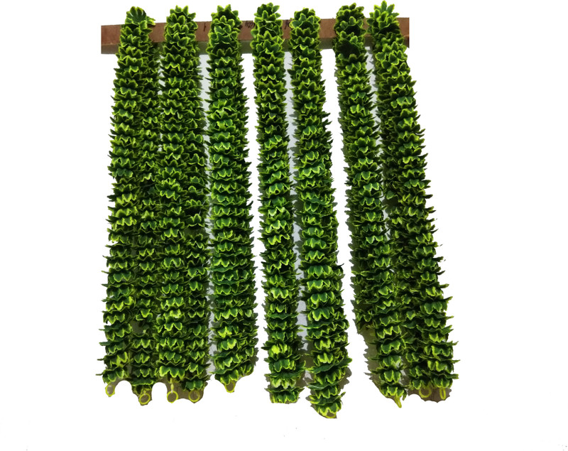 afarza Artificial flower garland toran door hanging 5ft 2ps pack good quality of plastic n cloth Garland(Green)