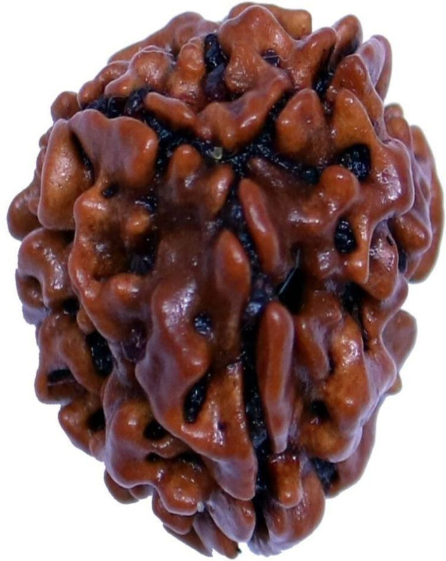 brahmgyan gallary 100% genuine and effective three face rudrakash bead for men/women from brahmgyan gallary Wood Locket