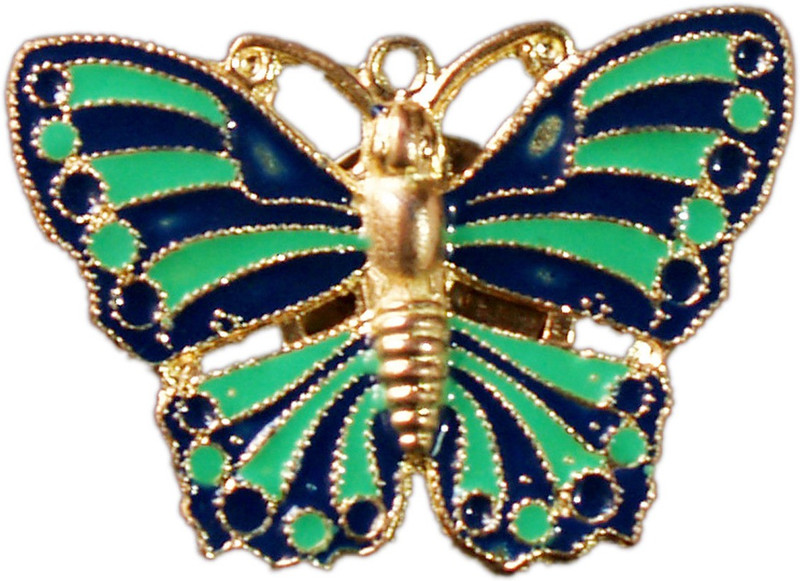 VR Designers Enamelled Butterfly Brooch(Multicolor) VR Designers Enamelled Butterfly Brooch(Multicolor)