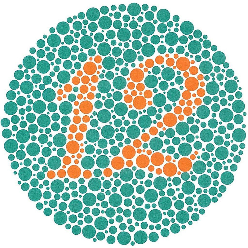 Visioncareindia 38 Plates Vision Test Chart Snellen Buy Online