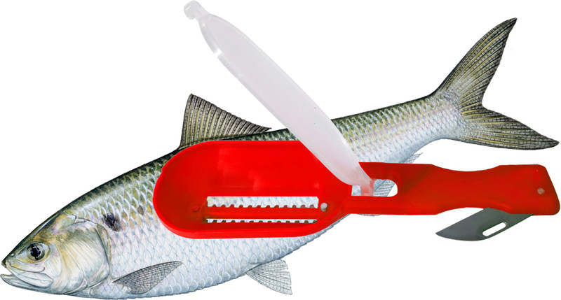 sun surya Cleaning Fish Skin Scraper with lid Fish Scaler Fish Scaler(Pack of 1)