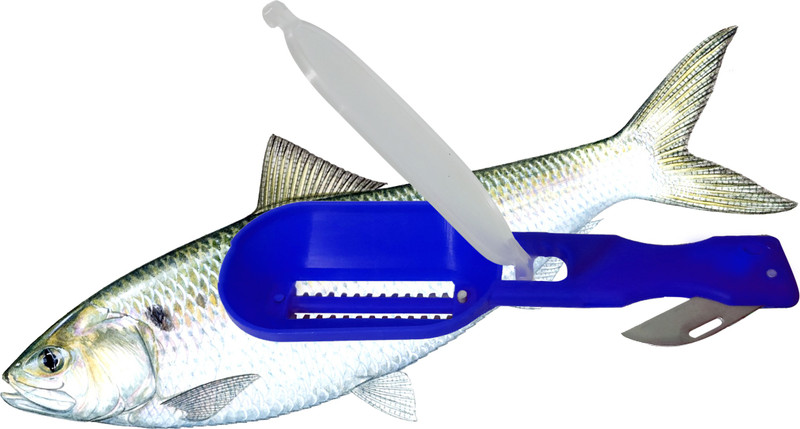sun surya Cleaning Fish Skin Scraper with lid Fish Scaler Fish Scaler(Pack of 1)