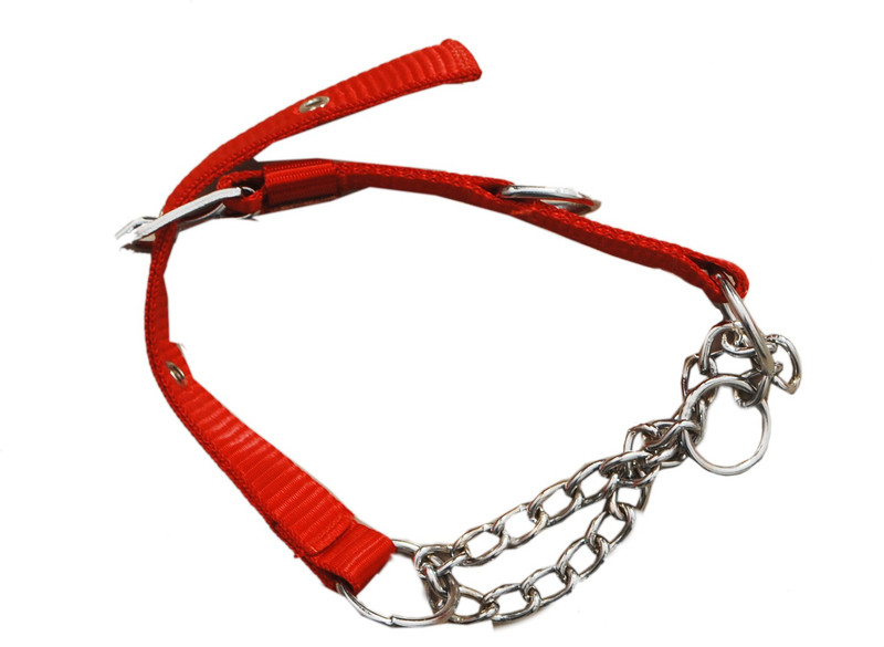 jacky treats extra large Dog Collar & Chain(Extra Large, red)