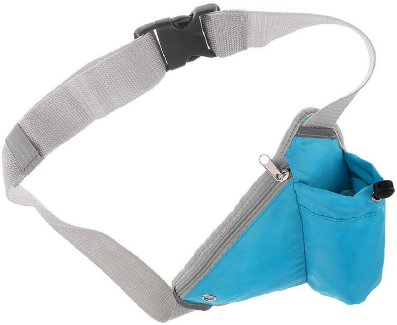 lycus Sport Running Waist Bag Universal Multifunction Sports Waist Bag Money Bag Fanny Pack Runners Pack Outdoor Unisex Travel Belt Bag-blue color waist sport bag(Blue)