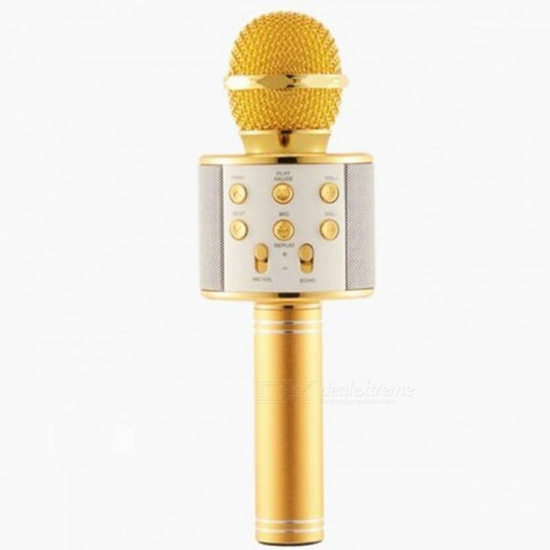 sourceindiastore Wireless Microphone Hifi-Speaker good sound(SIS) Microphone