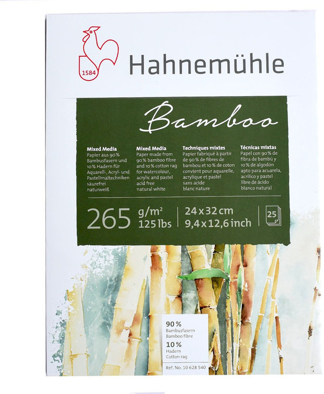 indian engineering industries Hahnemuhle Bamboo Mixed Media 265 Gsm Natural White Artist Paper 25 Sheets Sketch Pad(White, 25 Sheets)