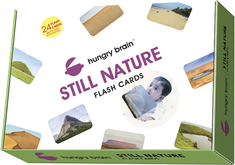 hungry brain STILL NATURE flash card- Easy & fun way of learning-2yr-6yr kids(Purple)