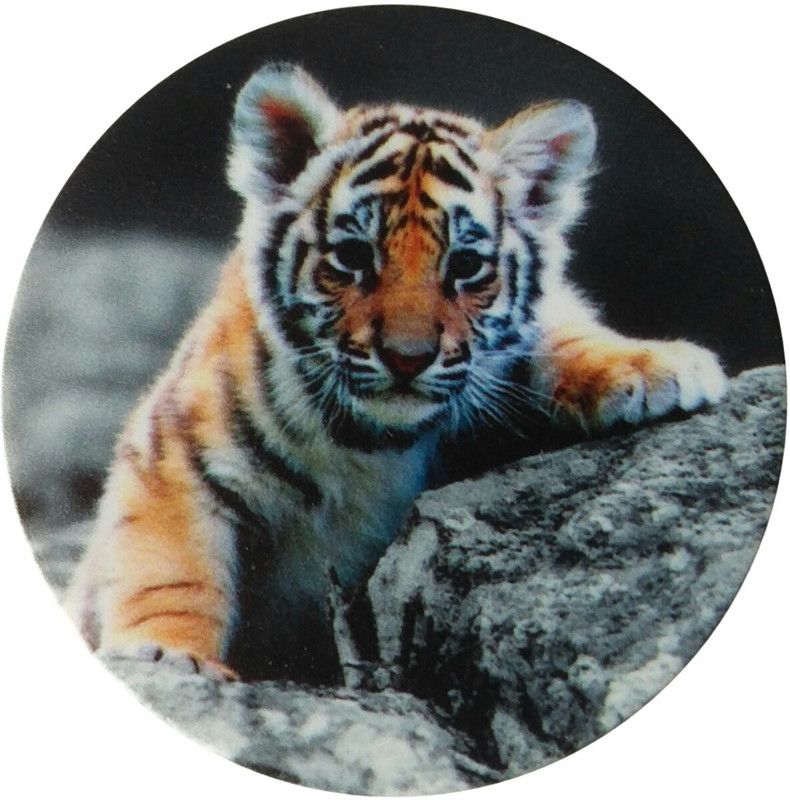 surana enterprises Tiger Cub Printed Mobile Grip Holder and Stand Mobile Holder