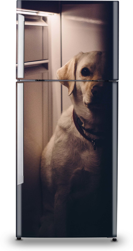 aadiprint Large Self Adhesive Fridge Sticker (107 cm x 183 cm) Sticker(Pack of 1)