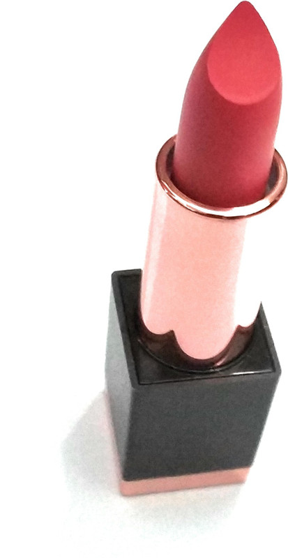 lyon beauty USA MATTE LIPSTICK WITH MAGNETIC CONTAINER(Ruby Woo, 10 g)