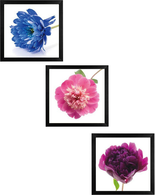 jazz my mobile Floral Wall Painting | Digital Wall Painting Set Of 3 ( 12x12 Inch ) Digital Reprint 12 inch x 12 inch Painting