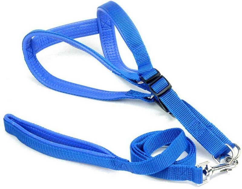 W9 Soft Padded Pet Harness and Leash Set-Blue-for Small Puppy (0.75 INCH) Dog & Cat Harness & Leash(Small, Blue)