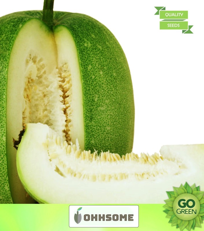 OhhSome Vegetable  Winter Melon  - Ashgourd  White Gourd Vegetable  For Home Garden  Seed(20 per packet)