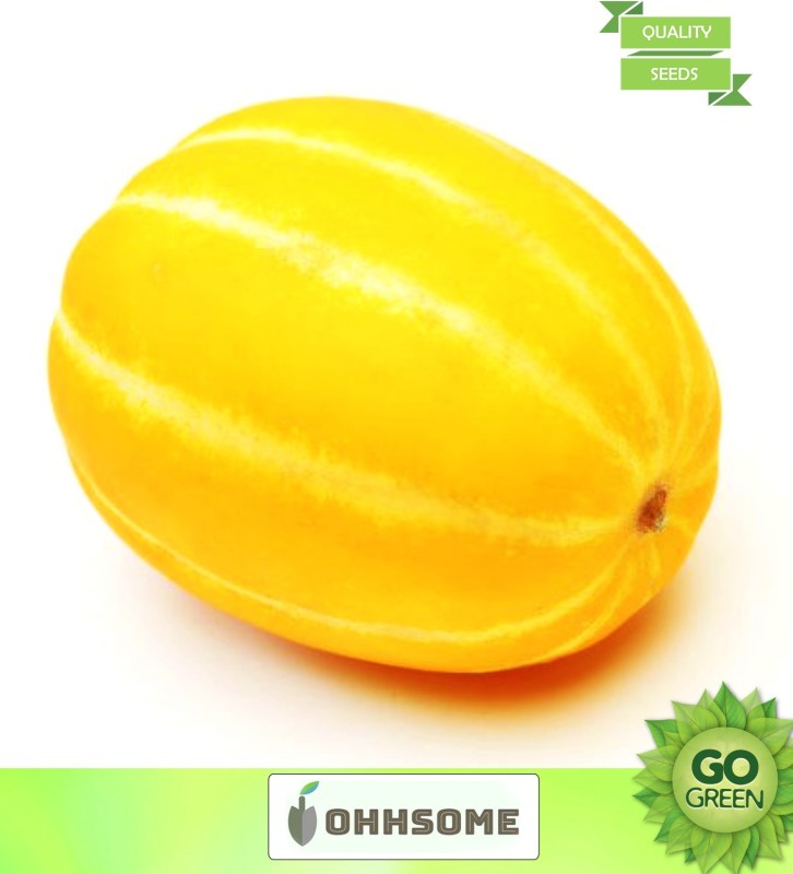 OhhSome Vegetable  Winter Melon  - Yellow Melon   For Gardening Home Garden  Seed(20 per packet)