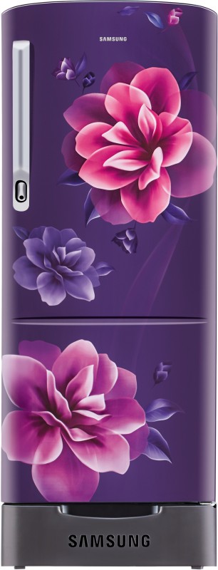 Samsung 192 L Direct Cool Single Door 4 Star Refrigerator(Camellia Purple, RR20R182YCR/HL)