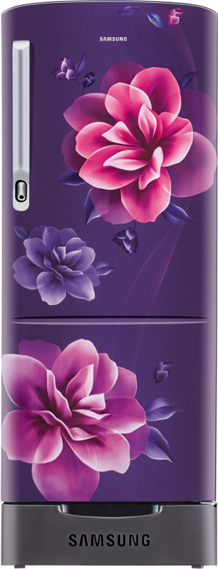 Samsung 192 L Direct Cool Single Door 4 Star Refrigerator(Camellia Purple, RR20R182YCR/HL)