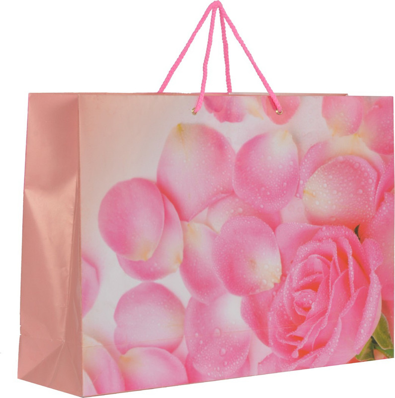 ppj Printed Party Bag(Pink, Pack of 5)