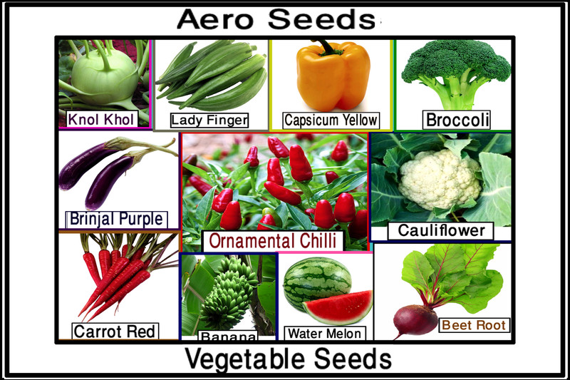 Buy Aero Aero 29 Varieties 3000+ (/Hybrid) Fruits & Vegetables Seed
