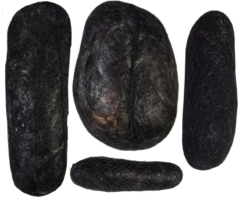 Buy Pooja Enterprises Black Sponge Natural Hair Volume Bumpit padding Bun Combo, 4 Different Patterns / Hair soft Bumpits / Puff Maker Bun for Bridal Style Hair Accessory Set(Black) Online at desertcartSuriname Buy Pooja Enterprises Black Sponge Natural Hair Volume Bumpit padding Bun Combo, 4 Different Patterns / Hair soft Bumpits / Puff Maker Bun for Bridal Style Hair Accessory Set(Black) Online at desertcartSuriname