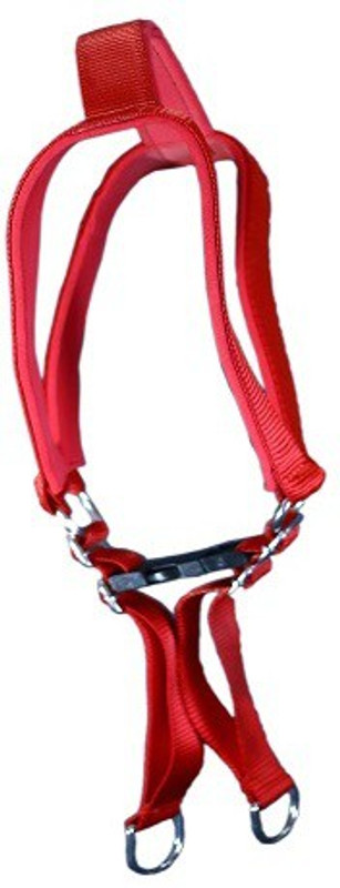 dogsbuzz high quality 1.25 inch width size nylon leash with harness padded RED Dog Harness & Leash(Extra Large, red)