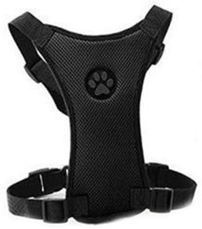 paw-harness-aqua-original-imafdfznwwjmbt58.jpeg