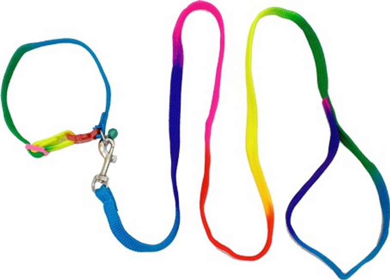 cutepuppy CP0028 Dog Collar & Leash(25 - 35 cm, Multicolored)