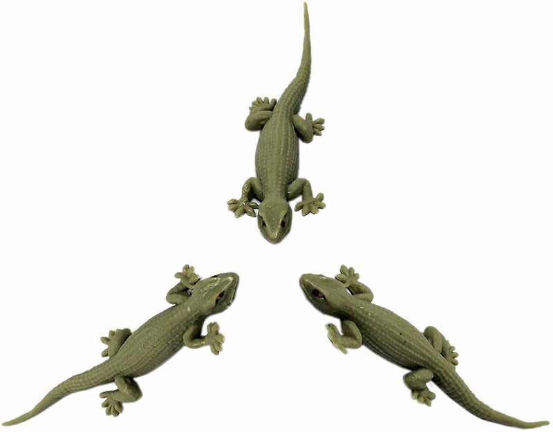 battery operated lizard toy