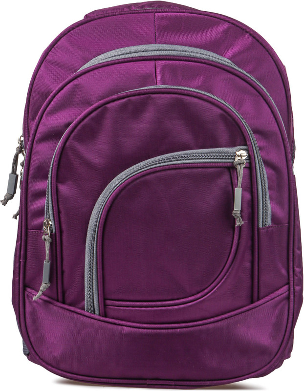 sonex 15.6 inch Expandable Laptop Backpack(Purple)