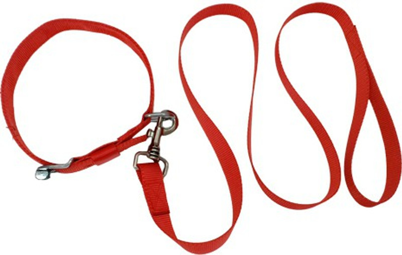 cutepuppy CP30 Dog Collar & Leash(Medium, PARROT GREEN, BLACK, RED, BABY PINK, BLUE, ORANGE)