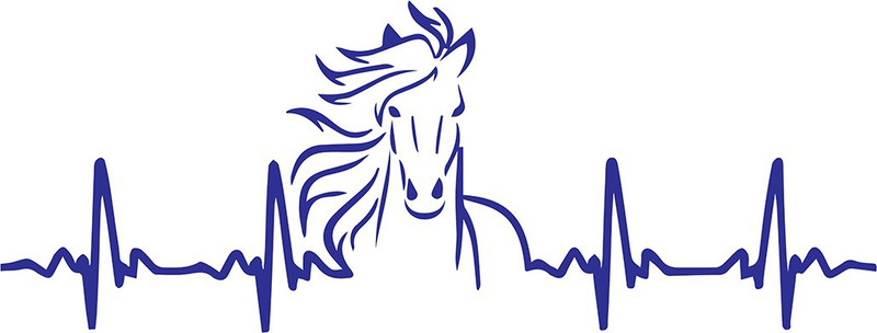 innoverainc Horse Heart Design Blue Normal Sticker for Bike and Car (6" by 1") Motorcycle Design Sticker(Pack of 1)
