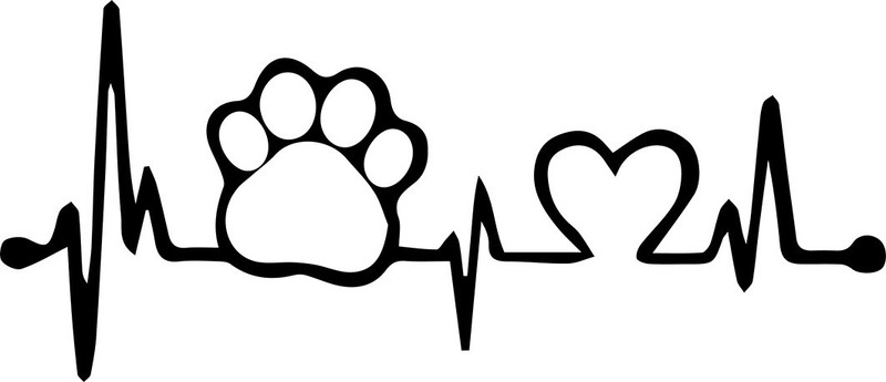 innoverainc Paw Heart Beat White Normal Sticker for Bike and Car (6" by 1") Motorcycle Design Sticker(Pack of 1)