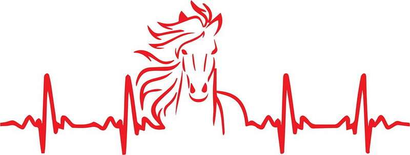 innoverainc Horse Heart Design Red Normal Sticker for Bike and Car (6" by 1") Motorcycle Design Sticker(Pack of 1)