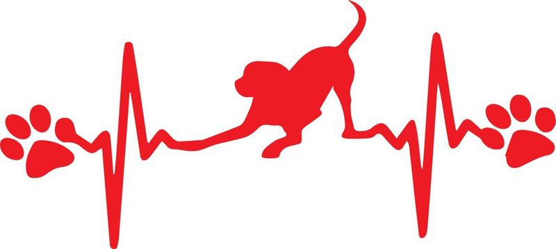 innoverainc Dog Heart Beat Paw Red Normal Sticker for Bike and Car (6" by 1") Motorcycle Design Sticker(Pack of 1)