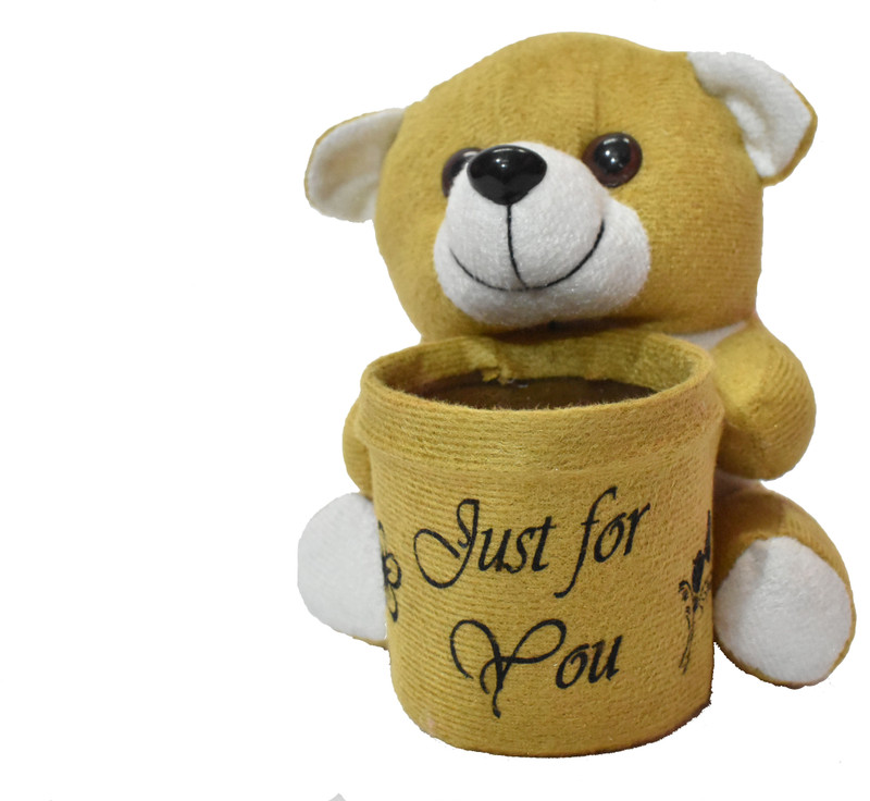 teddy world TEDDY BOX FOR HOME DECOR  - 12 cm(Brown)